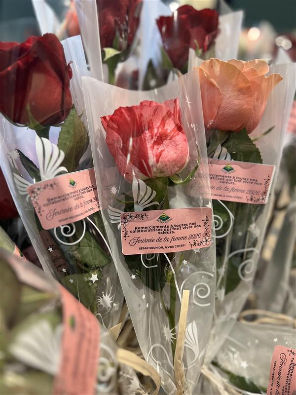 42e84dcd-3210-455a-adf2-7de5ca8ef01e